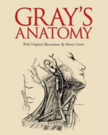Grays Anatomy - cena, porovnanie
