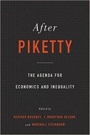 After Piketty - cena, porovnanie