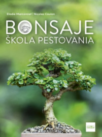 Bonsaje: škola pestovania