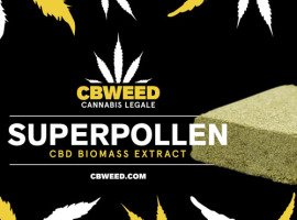 Cbweed CBD Hašiš Superpollen 1g