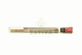 Sativa Poland CBD konopí Strawberry Haze Pre Rolls Joint 2ks