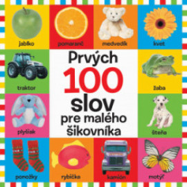 Prvých 100 slov