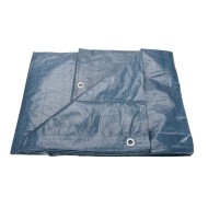 Extol Craft Plachta zakrývacia PE 100g/m2 10x15m - cena, porovnanie