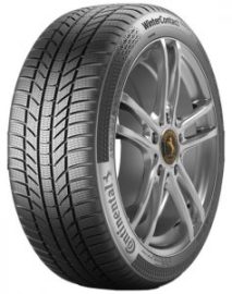 Continental ContiWinterContact TS870P 205/55 R17 95V