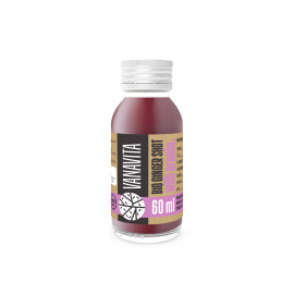 Vanavita BIO Ginger shot with aronia 60ml