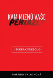 Kam miznú vaše peniaze (Cvičebnica nového života)