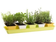 Plastkon MINIGARDEN 60 x 40 x 38 cm - cena, porovnanie