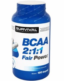 Survival BCAA 2:1:1 Fair Power 150tbl