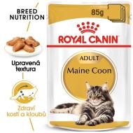 Royal Canin Maine Coon 85g - cena, porovnanie