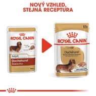 Royal Canin Dachshund 12x85g - cena, porovnanie