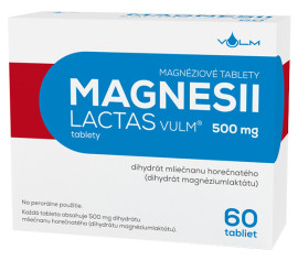 Vulm MAGNESII LACTAS VULM 500mg 60tbl