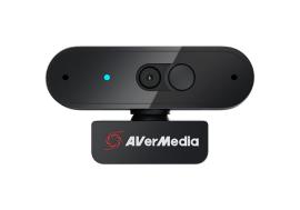 AverMedia PW310P