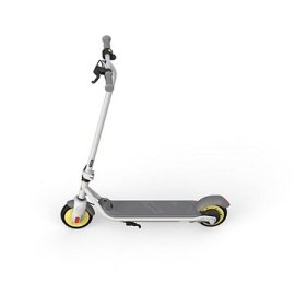 Ninebot eKickscooter C10