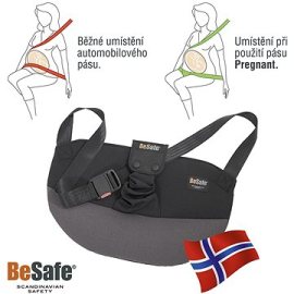 BeSafe Pregnant