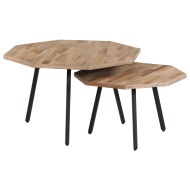 vidaXL 2-dielna súprava konferenčných stolíkov recyklované tíkové drevo šesťuholníková - cena, porovnanie