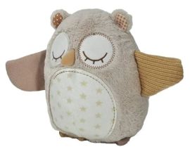 Cloudb Nighty Night Owl Smart Sensor