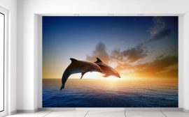 Gario Fototapeta Skákajúce delfíny 200x135cm