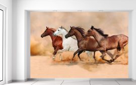 Gario Fototapeta Stádo nádherných koní 200x135cm