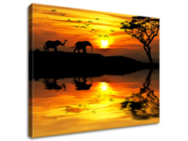 Gario Obraz na plátne Afrika 50 x 40 cm