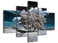 Gario Obraz na plátne Záhadné silné stromy 100 x 70 cm - cena, porovnanie