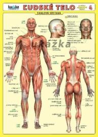 Ľudské telo - karta