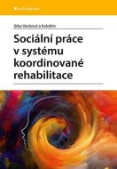 Sociální práce v systému koordinované rehabilitace - cena, porovnanie