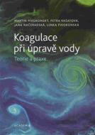 Koagulace při úpravě vody - Teorie a praxe - cena, porovnanie