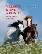 Velšští koně a poníci / Welsh Ponies and Cobs - cena, porovnanie