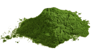 Lifelike BIO Chlorella 100g - cena, porovnanie