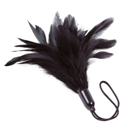 Adrien Lastic Prestige Feather Tickler