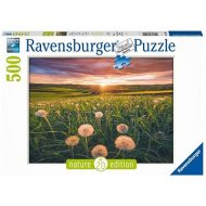 Ravensburger 169900 Púpavy v západe slnka 500 dielikov - cena, porovnanie