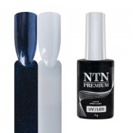 NTN TOP NO WIPE NTN PREMIUM SHIMMER ARIES 5ml - cena, porovnanie