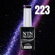 NTN Gél lak NTN PREMIUM Magnetic Cat Eye 6D 5g - cena, porovnanie