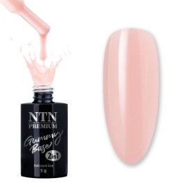 NTN GUMMY BASE 2v1 NTN PREMIUM PUFF PEACH 5ml