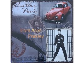 TP Plechová ceduľa - Elvis Presley (30x30 cm)
