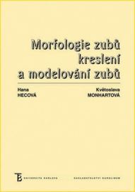 Morfologie zubů