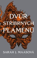 Dvůr stříbrných plamenů - cena, porovnanie