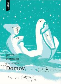 Domov - Judith Hermann