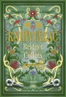 Kníhviazač - Bridget Collins - cena, porovnanie