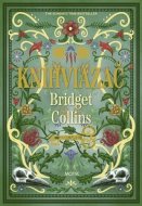Kníhviazač - Bridget Collins - cena, porovnanie