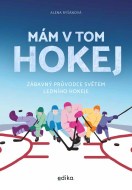 Mám v tom hokej - cena, porovnanie