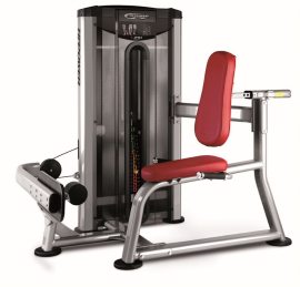 BH Fitness L210