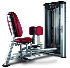 BH Fitness L250