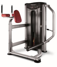 BH Fitness L330