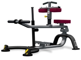 BH Fitness PL210