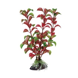 Ferplast Blu 9059 Rotala 8"