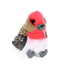 Creative Toys Vták Hýľ mexický plyšový so zvukom