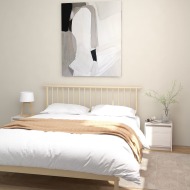 vidaXL Nočné stolíky 2 ks biele 40x30,5x40 cm borovicový masív - cena, porovnanie