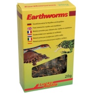 Lucky Reptile Earthworms 10 g - cena, porovnanie