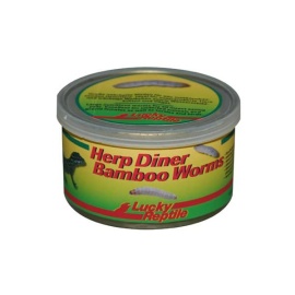 Lucky Reptile Herp Diner - bambusoví červi 35g